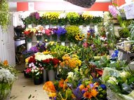 flower shop as small business